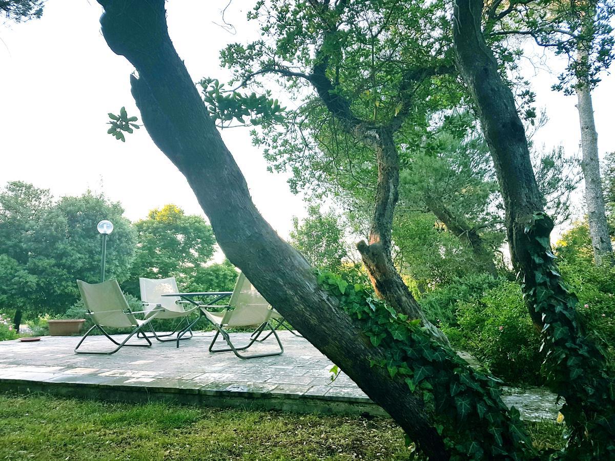 Villa Cenzina セルヴァ・ディ・ファザーノ エクステリア 写真