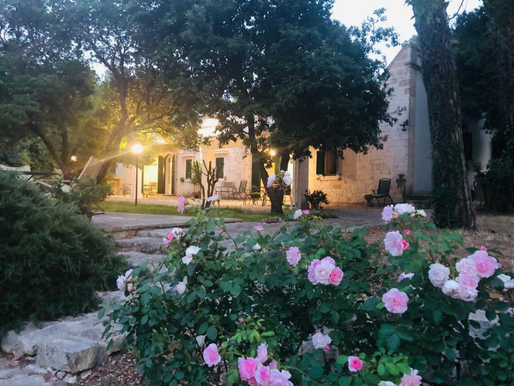 Villa Cenzina セルヴァ・ディ・ファザーノ エクステリア 写真